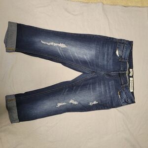 Indigo Rein crops size 15